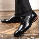 Tomás - Oxford Čevlji